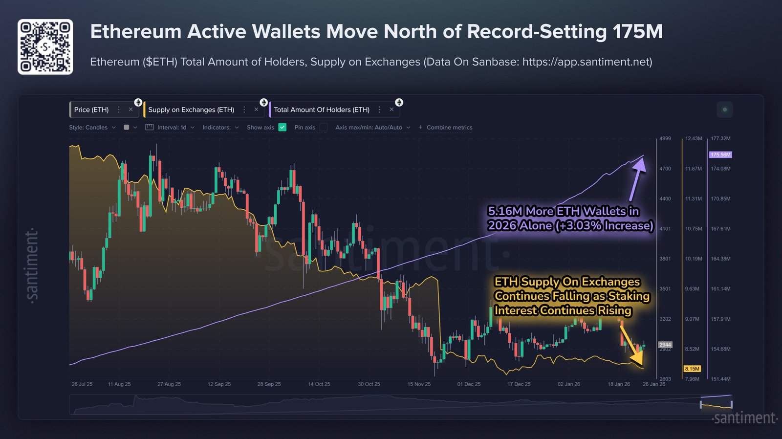 Ethereum Total Amount of Holders
