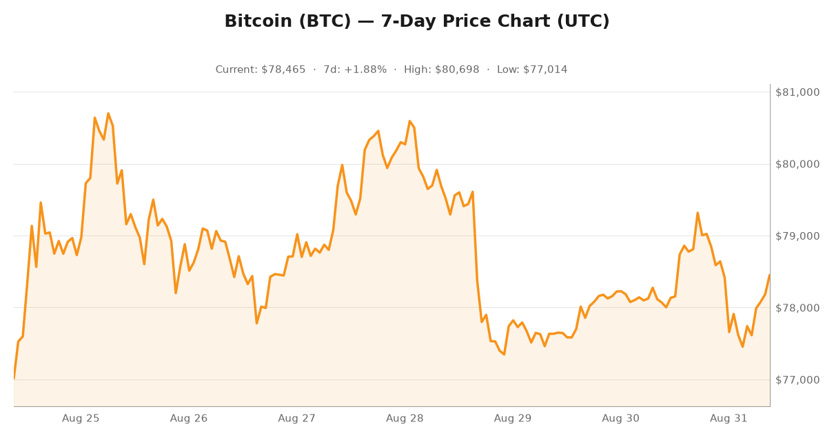 Crypto market visualization for August 31, 2026 - institutional themes
